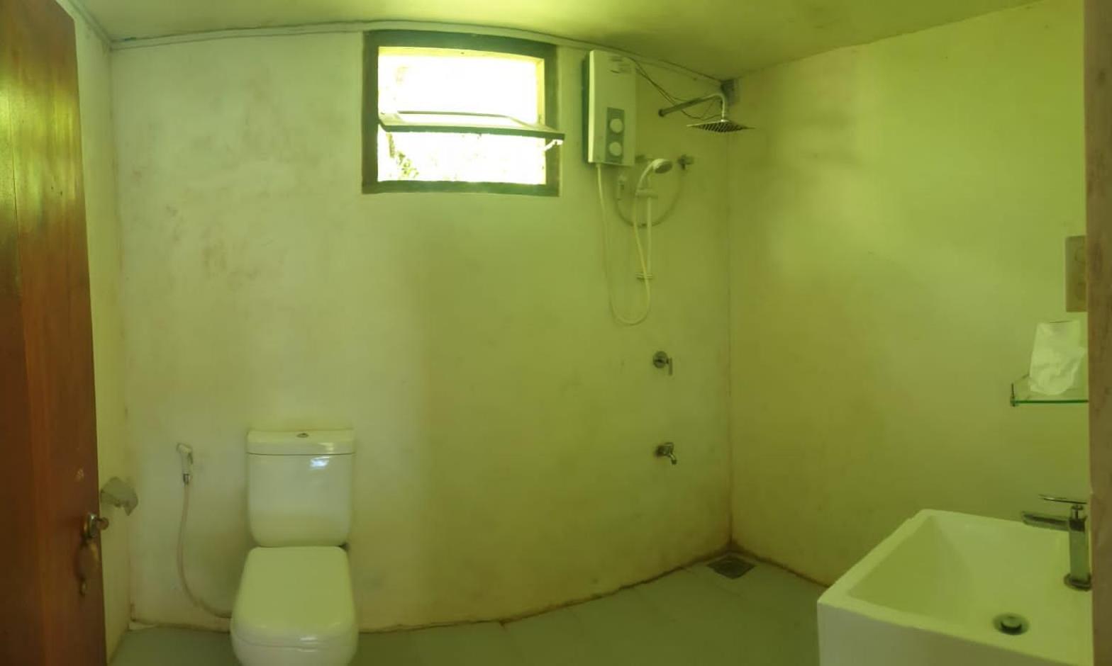 Sinharaja Hostel 114 Deniyaya Kültér fotó